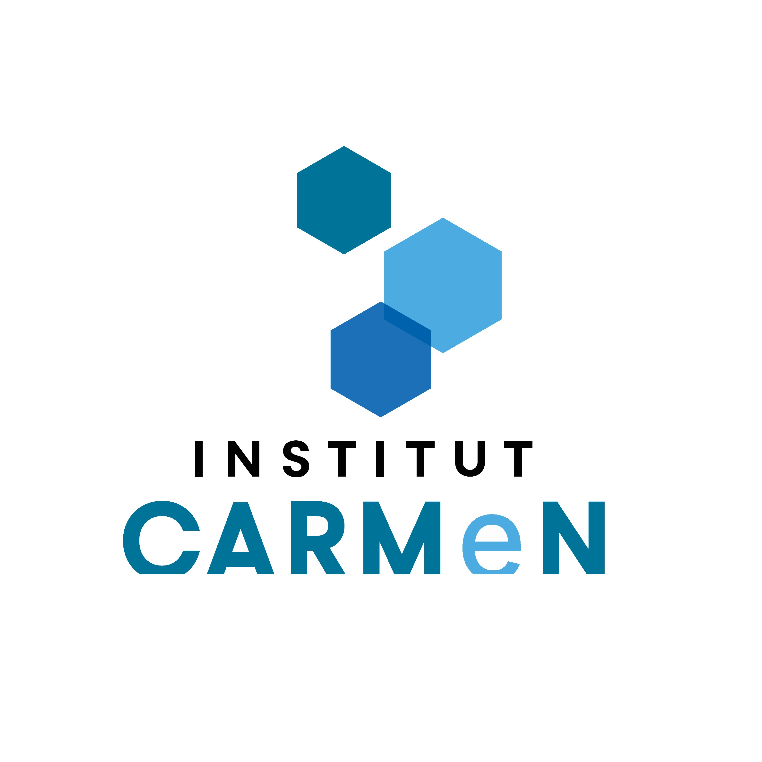 Logo Institut CARMeN